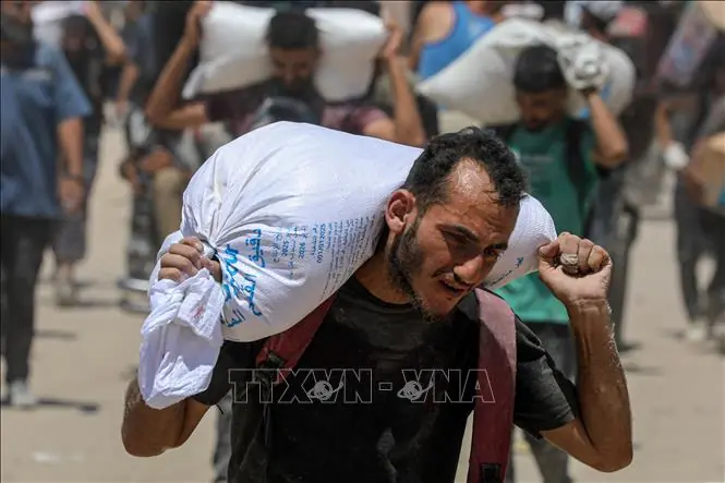 Đài PTTH Hà Nội